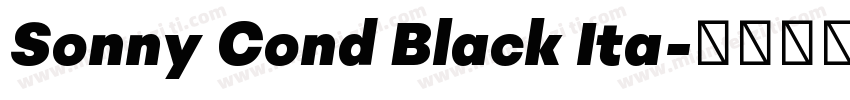 Sonny Cond Black Ita字体转换